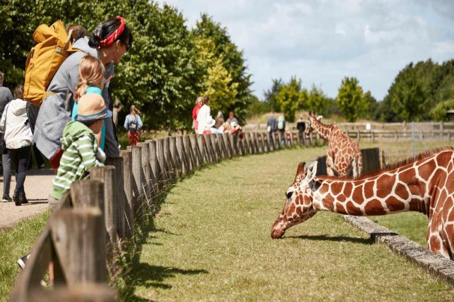 Banham Zoo Tickets